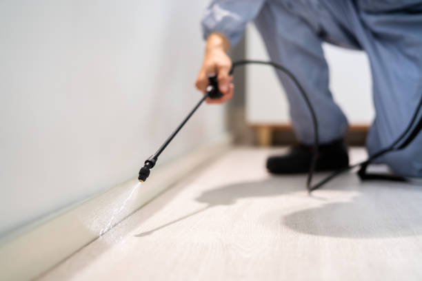 Best Mosquito Control Services  in Memphis, MI