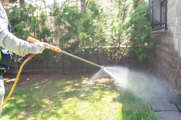 Best Cockroach Control Services  in Memphis, MI
