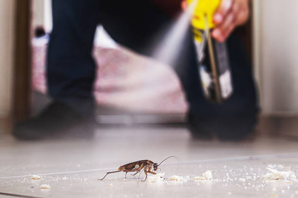 Best Best Pest Control Companies  in Memphis, MI