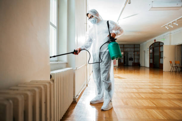 Best Termite Control Services  in Memphis, MI