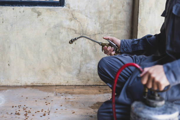 Best Emergency Pest Control  in Memphis, MI